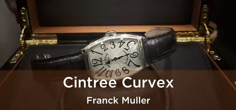  Cintree Curvex Franck Muller
