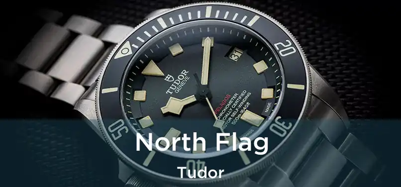  North Flag Tudor